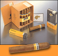 Robustos Pack Of 3