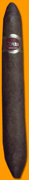Salomones