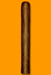 Magnum 46 Slb