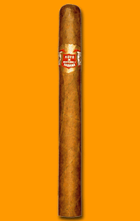 Le Hoyo Des Dieux Slb Cab 50