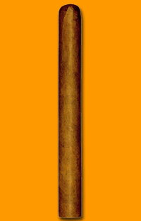 Le Hoyo Des Dieux Slb