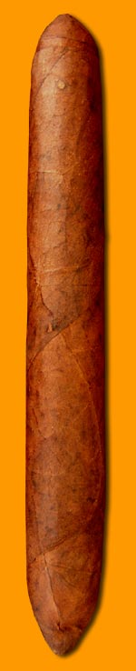 Salomon Cigar