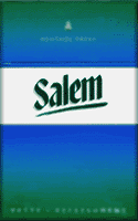 Salem Original Menthol Cigarettes